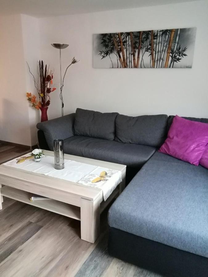 Haus Maisonette Am Harz Niedersachswerfen Kültér fotó